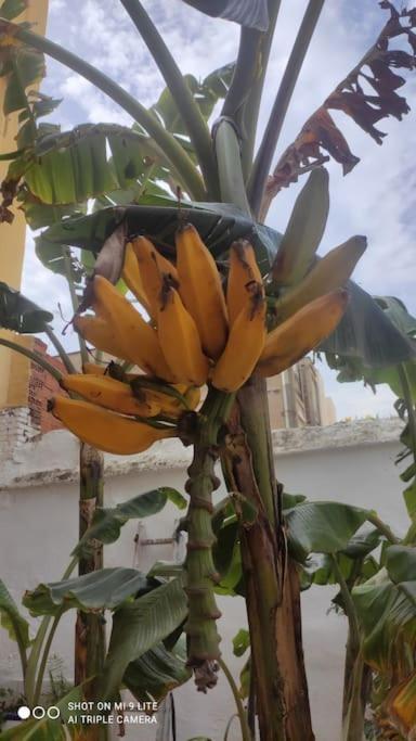 Precioso Apartamento Con A/A En Ruzafa Con Terracita Privada Y Acceso A Un Jardin, Para 2-3 Personas Valencia Ngoại thất bức ảnh