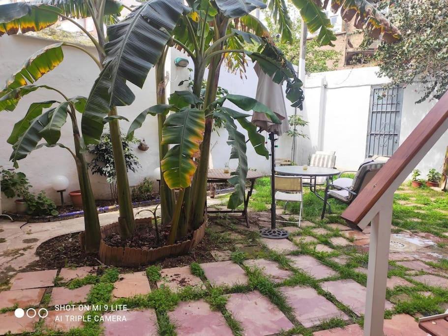 Precioso Apartamento Con A/A En Ruzafa Con Terracita Privada Y Acceso A Un Jardin, Para 2-3 Personas Valencia Ngoại thất bức ảnh